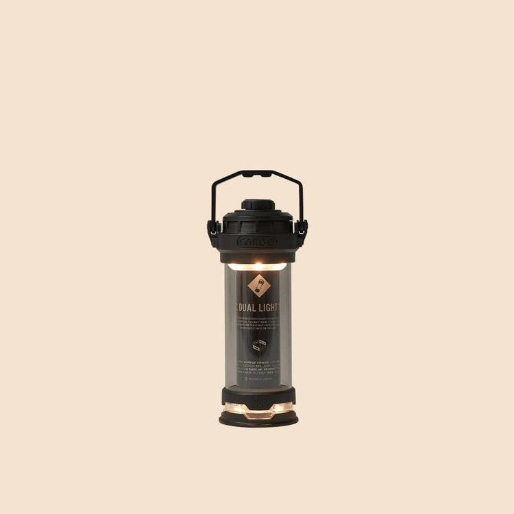 The Cargo Container Dual Light Mini