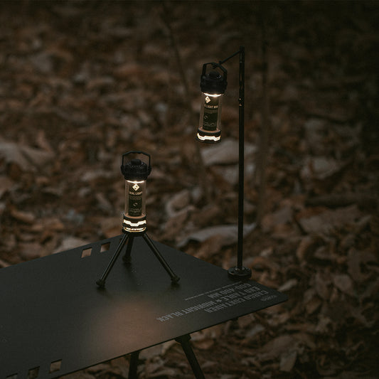 The Cargo Container Dual Light Mini